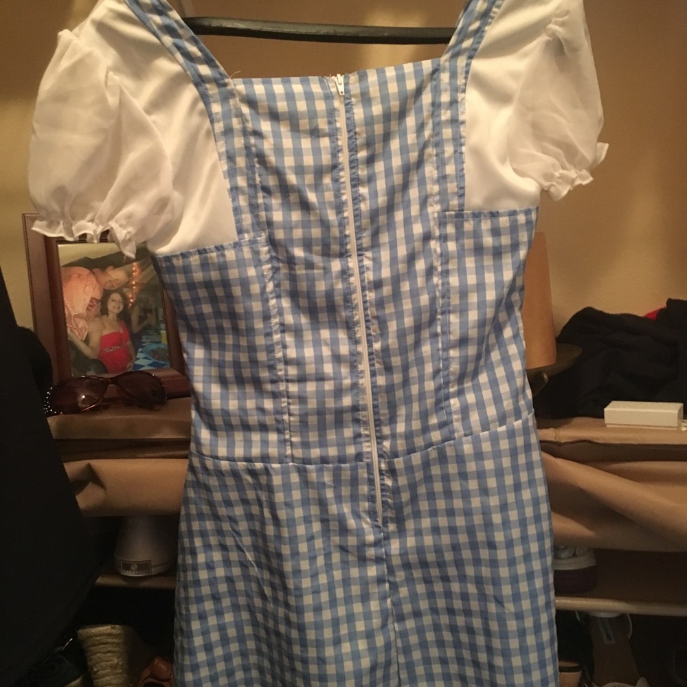 Dorothy Halloween Costume with Toulle.